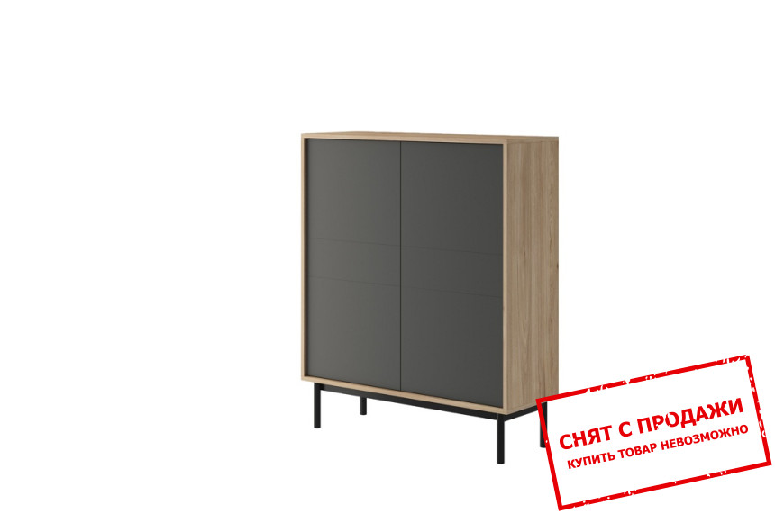 Комод Asic 2D/104 2-дверный Джексон хикори/графит