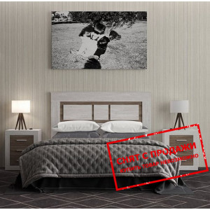 Набор мебели в спальню Сара / Sara Гербор Сосна ка...