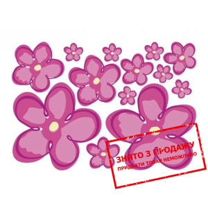 Наклейки Ringo BRW