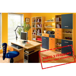 Модульна дитяча Твіст Меблі Гербор