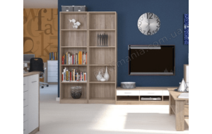 Что выбрать для дома: книжный стеллаж или шкаф?