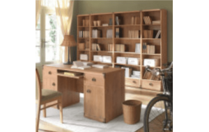 Книжный шкаф и особенности его выбора