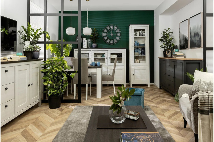 Польські меблі Hesen BRW Модрина сібіу світла/cосна ларіко