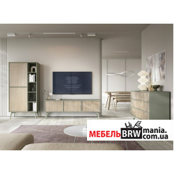 Модульная гостиная Forest Эвкалипт/ель сканди Perfect Home