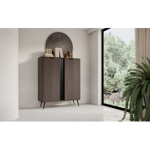 Комод высокий Perfect Home Верис / Veris 2D/113 2-дверный Дуб дунин/черный