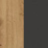 Дуб артизан/черный