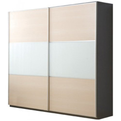 Шафи-купе в передпокій