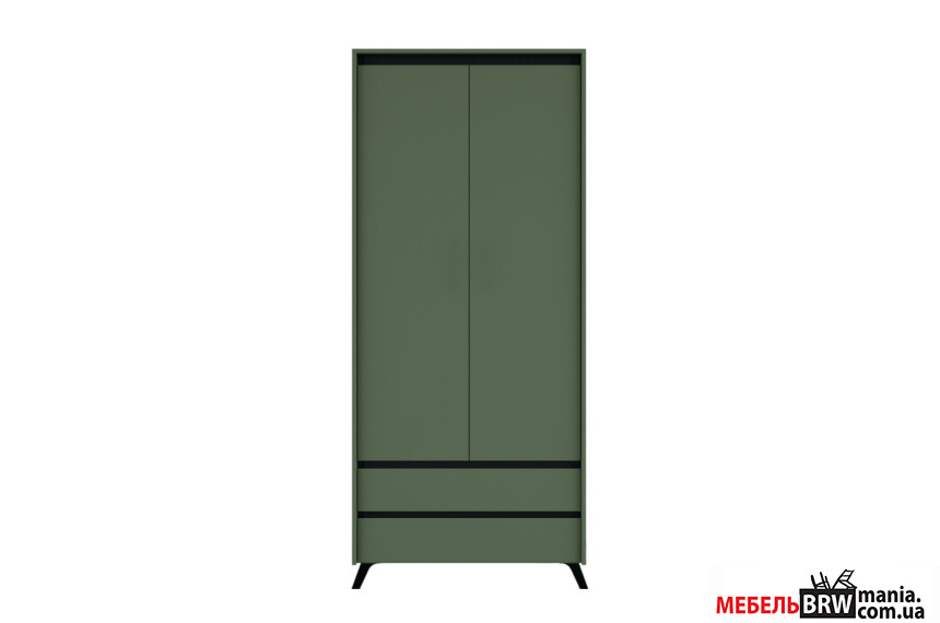Шкаф платяной Лаундж / Lounge SZF2D2S БРВ 2-дверный Зеленый дымчатый/черный